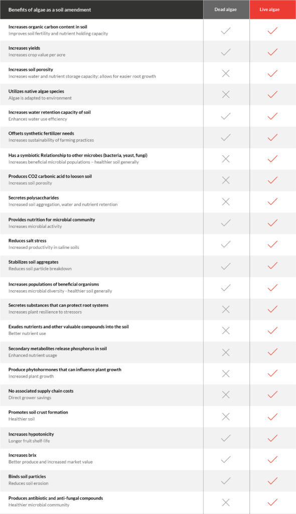 Benefits_of_Algae | MyLand