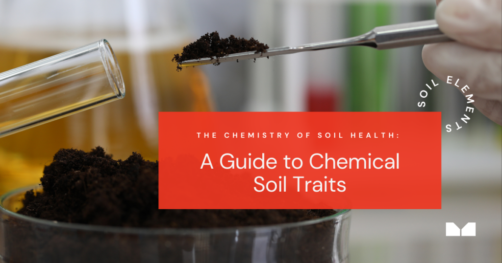 Blog cover image about the chemical characteristics of healthy soil and the view of a tree nut farm