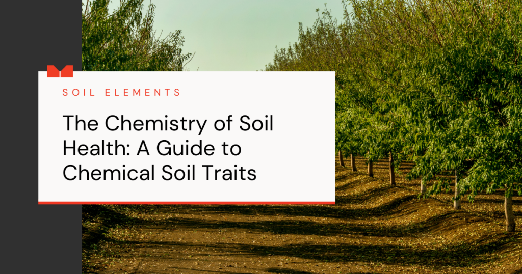 Blog cover image about the chemical characteristics of healthy soil and the view of a tree nut farm