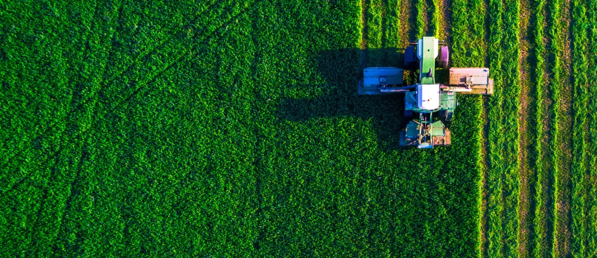 Overhead view of a green field with a tractor.