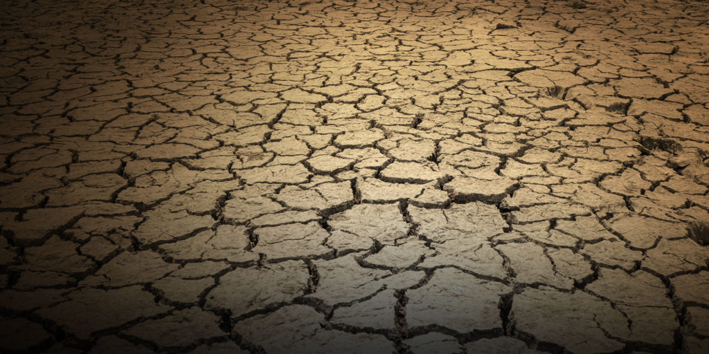 Exhausted soil on a global scale lowers crop yields and worsens climate impact.