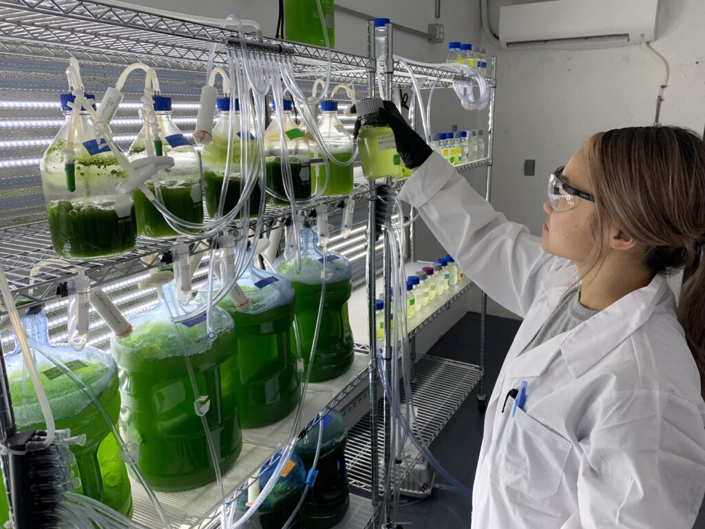 Inside the MyLand algae lab. A team member take a closer look at a small bottle of algae.