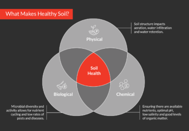 Soil Health Diagram Detailed