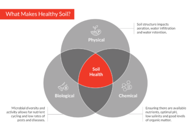 Soil Health Diagram Detailed