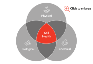 Soil Health Diagram