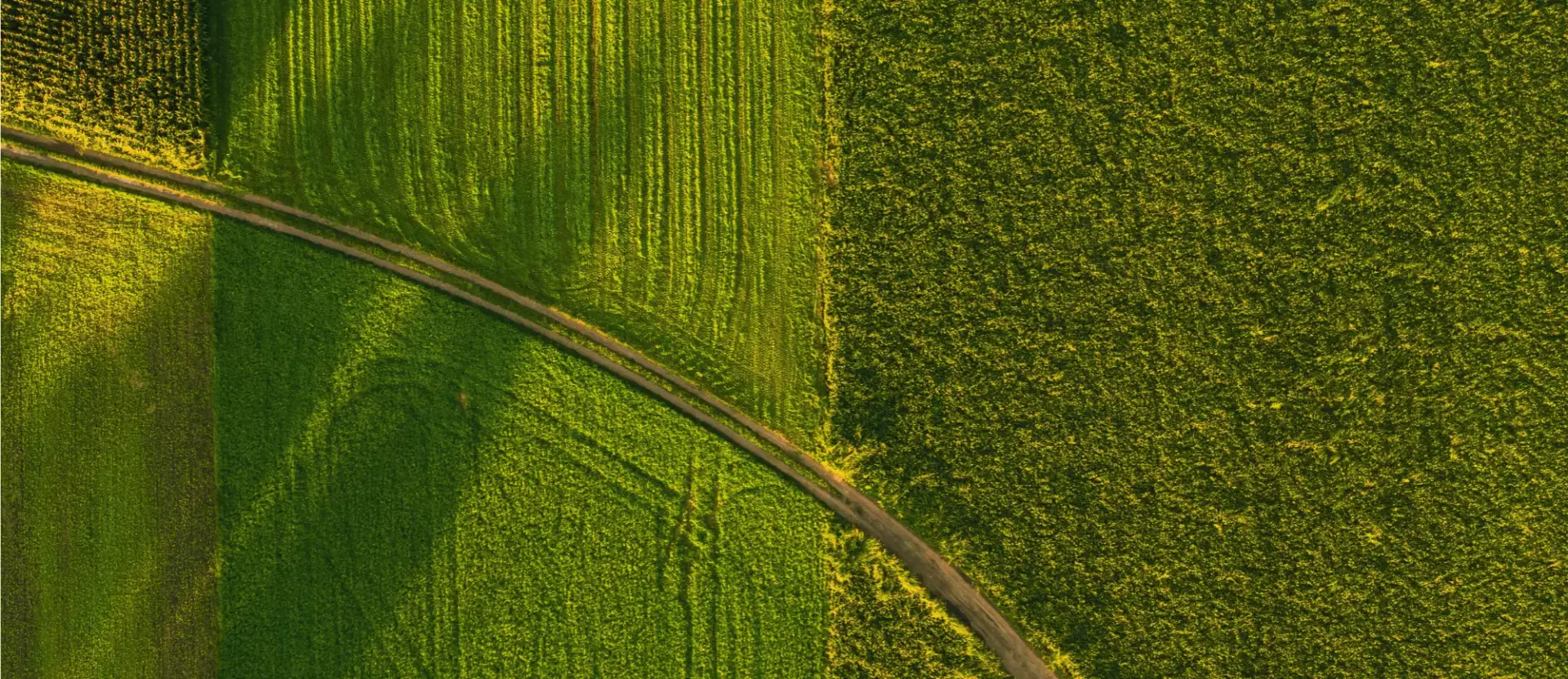 Overhead view of a green field.