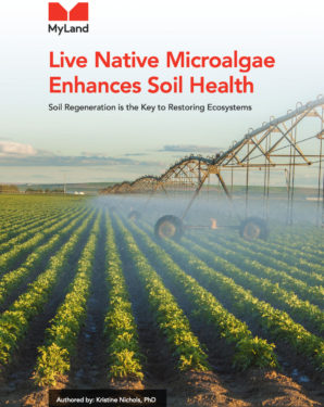 Cover of Whitepaper for Benefits of Microalgae