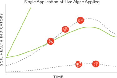 Chart: Single Application of Live Algae Applied