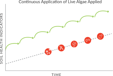 Chart: Continuous Application of Live Algae Applied
